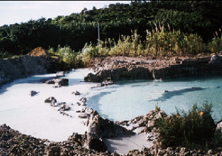 Lagoa de resíduos tóxicos da Ingá Mercantil em Itaguaí