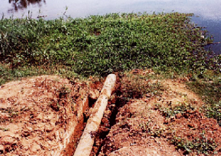 O Rio Muriaé recebe esgotos domésticos e industriais gerados na cidade de itaperuna. Tubulações despejam esgotos no rio, em obras licenciadas pelo poder público municipal