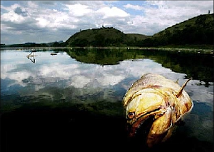 Rio Paraíba14