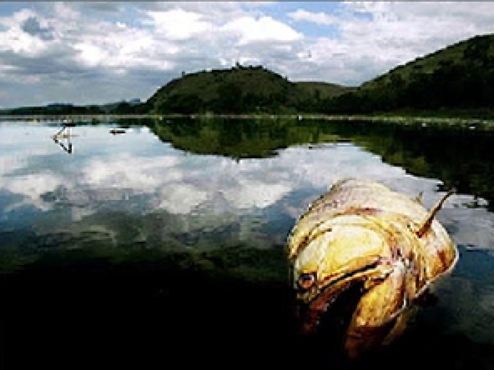 Rio Paraíba14