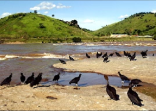 Rio Paraíba17