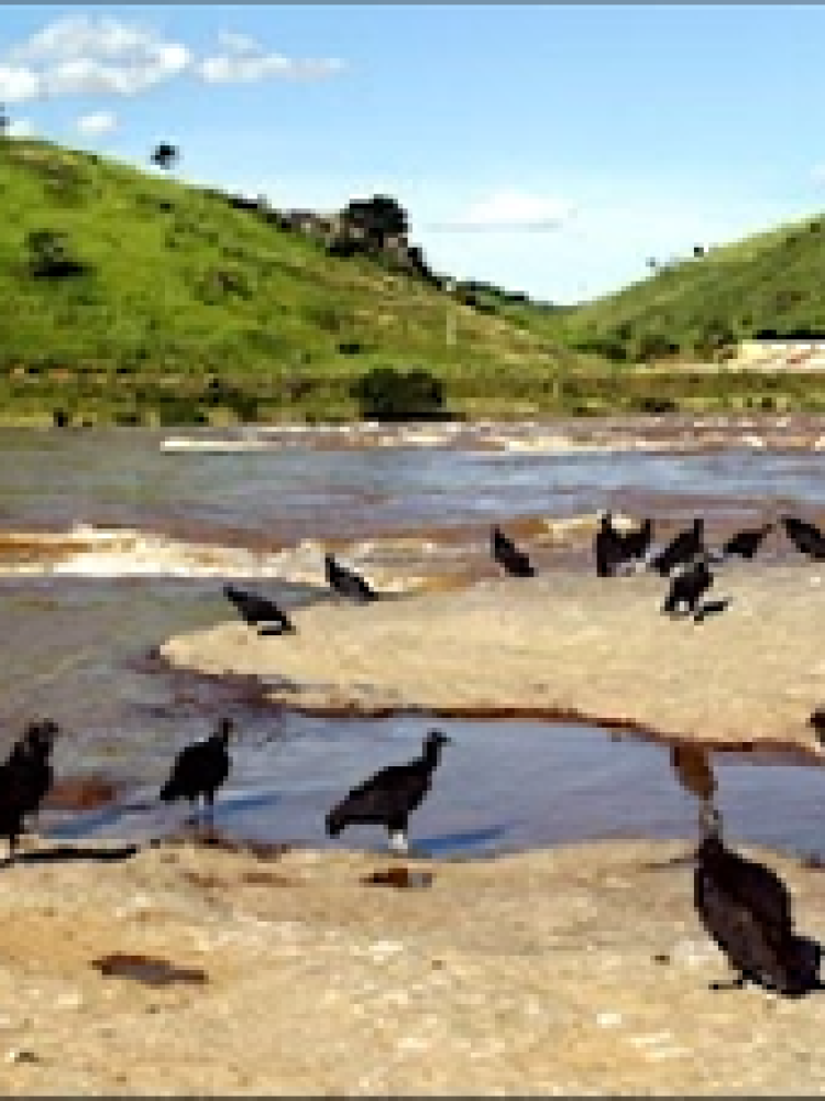 Rio Paraíba17
