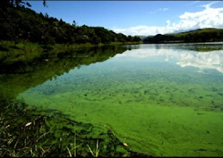 Rio Paraíba3