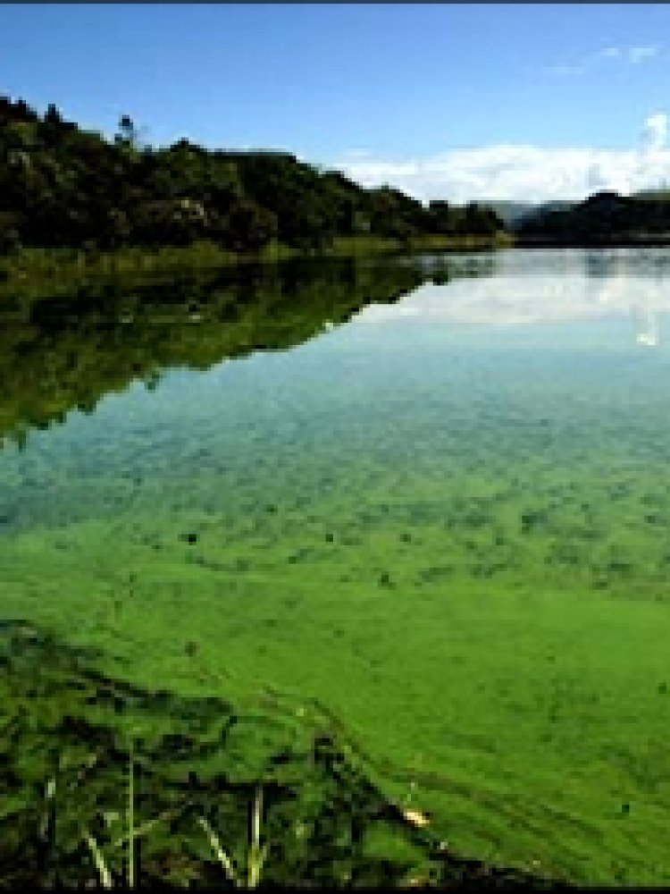 Rio Paraíba3